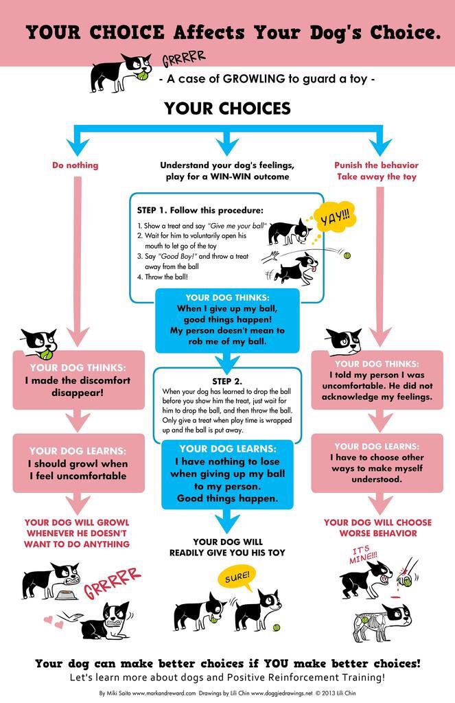chart about how your choice affects your dog's choice