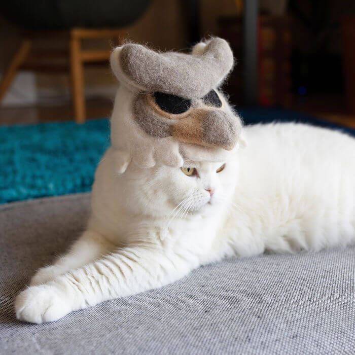 Adorable Cats That Have A Collection Of Hats Made Out Of Their Fur