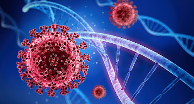 Variante omicron COVID19 coronavirus