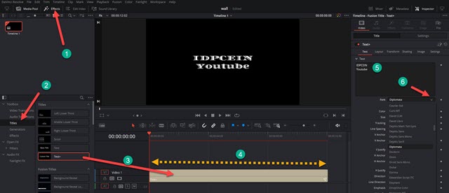 personalizzare testo in davinci resolve