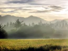 Kisah Kebaikan Bersedekah di Pagi Hari