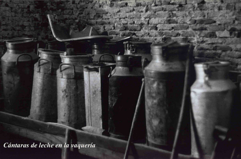 Foto en blanco y negro. Texto en blanco, izquierda, abajo: "Cántaros de leche en la vaquería"- Son siete delante y algunos más detrás, De diferentes formas con y sin tapa. Algunos abollados por el uso.