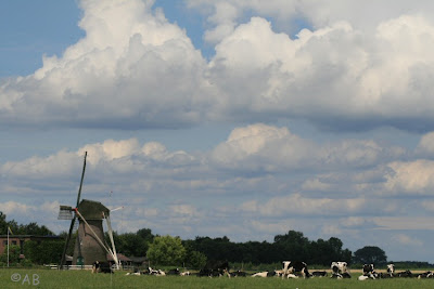 Hollands landschap in Gorssel
