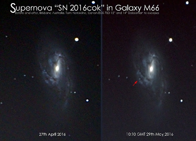 Sebuah Bintang Meledak Ditemukan di Galaksi M66 - Info 