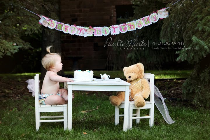 Minneapolis Family Photographer