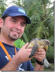7.19 sloths & turtle 165