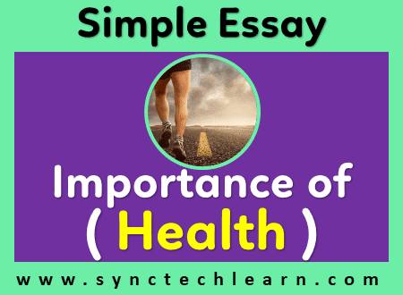 essay on importance of health