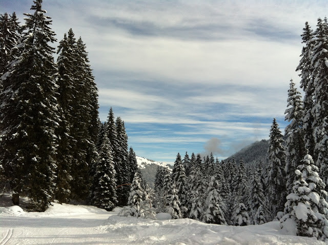 Raquetas de nieve