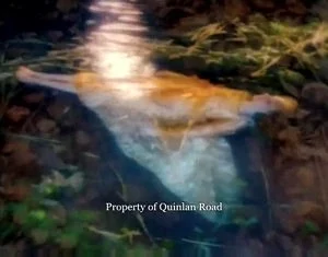 Bonny Swans - Video Capture 2