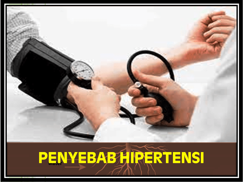 Hipertensi Antara Pencegahan dan Penyembuhan