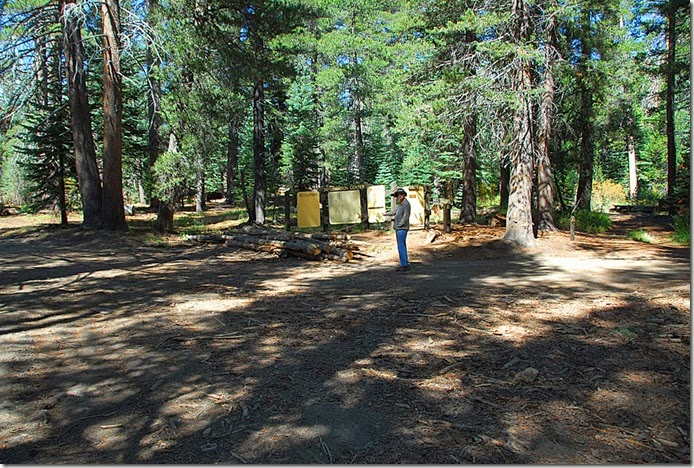 Agnes Meadow