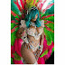 Rihanna Looks Dangerously Sexy In Peacock-Like Costume, Even Her Ex,  Chris Brown, Couldn't Stay Away!