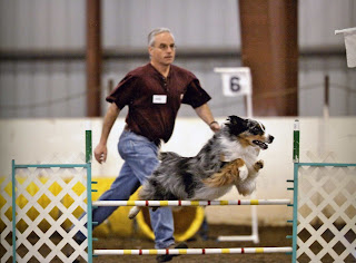 Steve and Hobie running agility course - September 4, 2009