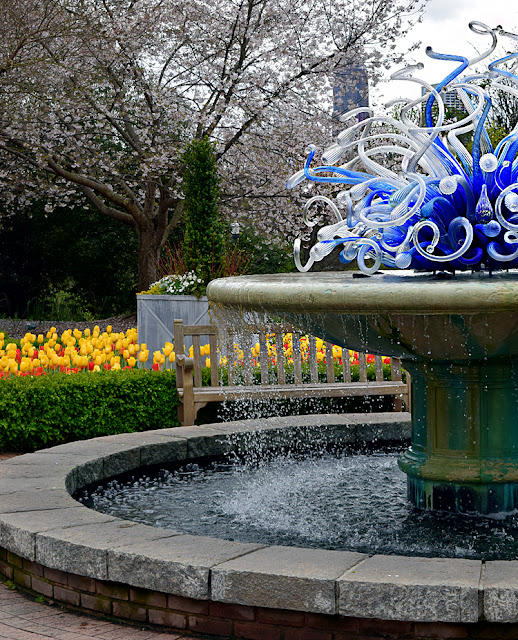 Atlanta Blooms! 2018 | Atlanta Botanical Garden | Photo: Travis S. Taylor