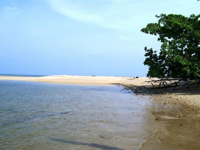 Pulau Maspari Yang Eksotis