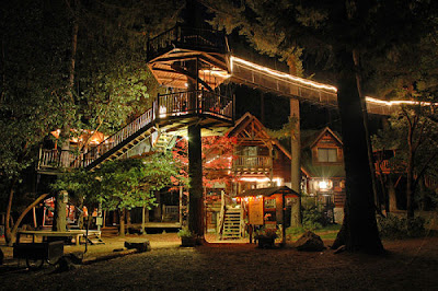 coolest Tree Houses