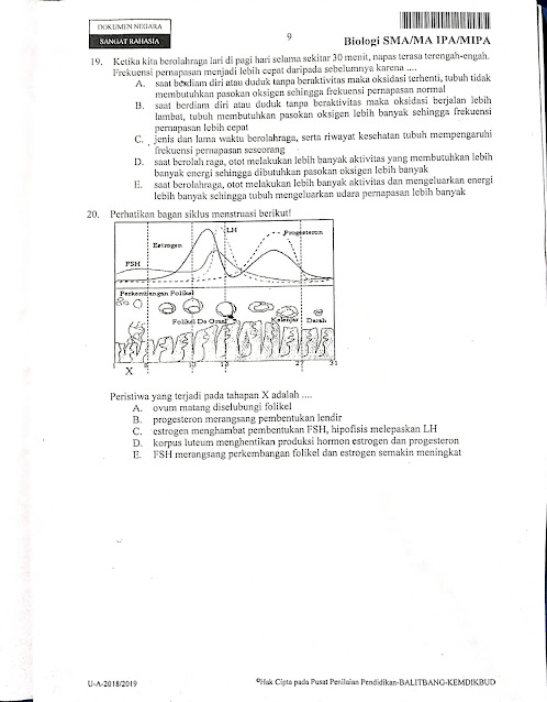 Latihan UNBK BIOLOGI PAPER BASE 2021