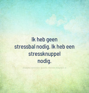 leuke nederlandse quotes
