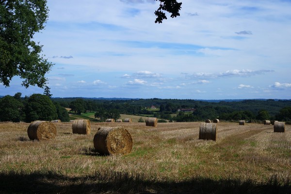 france limousin haute-vienne monts blond cieux randonnée chemin hêtres