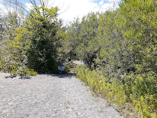 Pathway to the campsite