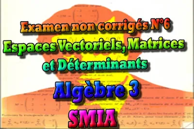 SMIA, SMIA S2 Analyse 3, systèmes linéaires, méthode de Gauss, espaces vectoriels, Matrices, Déterminant, cours gratuit, cours de maths gratuit, cours en ligne gratuit, cours de physique, cours gratuit en ligne, telecharger gratuitement, cours gratuit informatique.