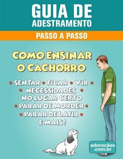 Adestrando cachorro em casa