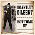 Download Bottoms Up - Brantley Gilbert mp3