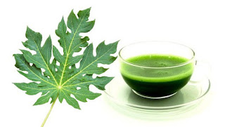 Benefits of Papaya, Healthy Food, Healthy Food Tips, Human Healthy Food, Weight Loss Food Tips, Benefits of Papaya leaves, Benefits of Papaya Juice 