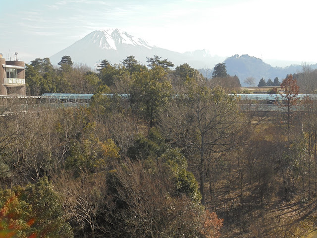 クリスタルロードと大山