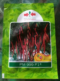 Cabe Kerting PM 999
