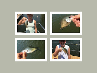 Crappie Fishing, Truman Lake Crappie Fishing, Lake of the Ozarks