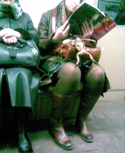life-metro (10)