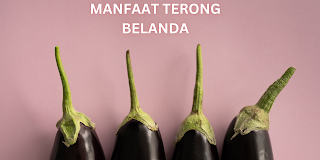 Apa Saja Manfaat Terong Belanda