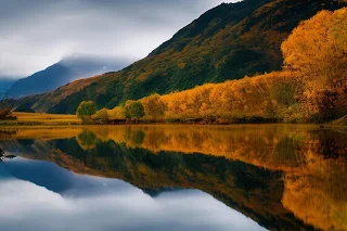 Reflection | AI Art Image
