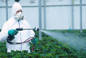 Non organic foods are often contaminated with pesticides.