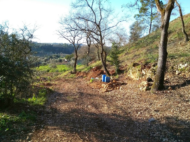 Caminhos de Porto de Mós