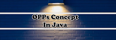 Java & C#_Object Oriented Programing2