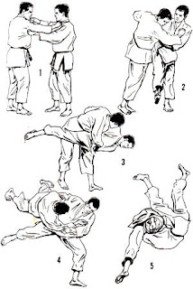 techniques judo