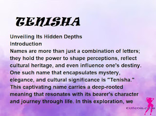 meaning of the name TENISHA