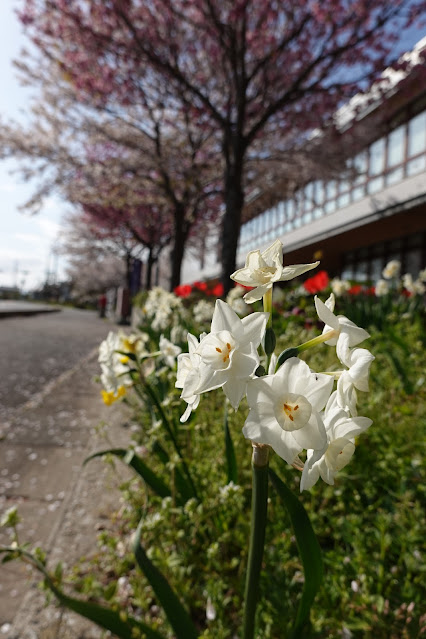 鳥取県西伯郡大山町名和 大山町立名和小学校