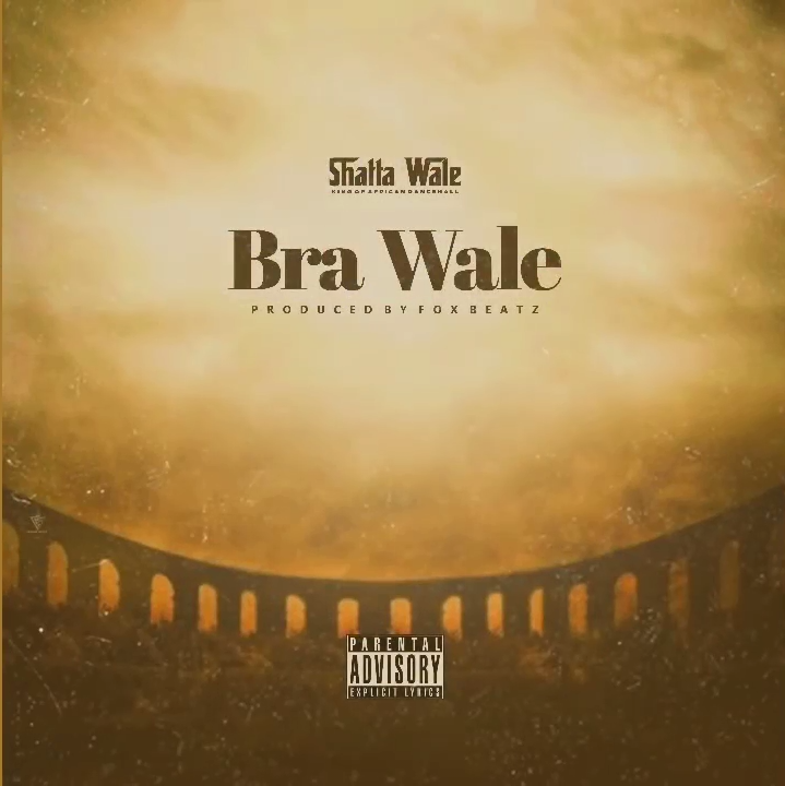 Bra wale by Shatta Wale