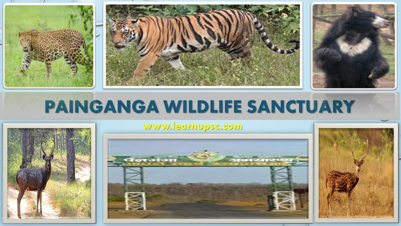 Painganga Wildlife Sanctuary