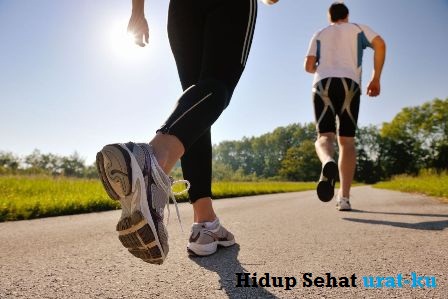 10 Blog / Situs Kesehatan Terbaik [ Artikel, Obat, Makanan & Cara Hidup Sehat ]