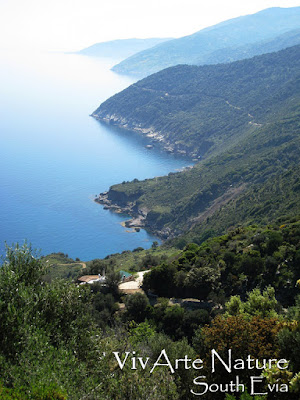 vivarte nature a natural paradise overlooking the Aegean Sea