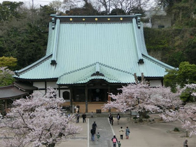  光明寺の桜