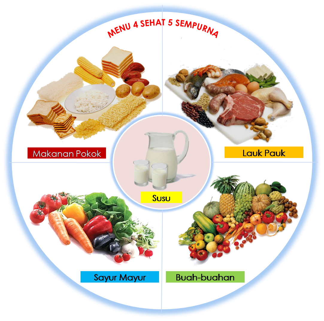 GAMBAR PIRAMIDA MAKANAN DAN 4 SEHAT 5 SEMPURNA  freewaremini