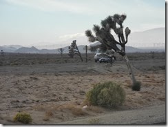 DSCN2486
