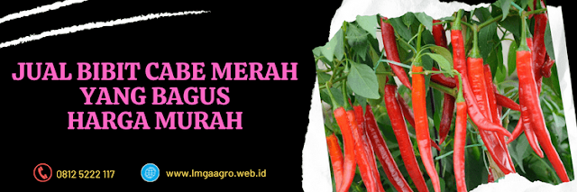 jual,murah,terjangkau,lmga agro,toko pertanian terdekat