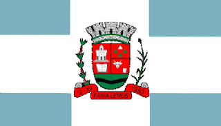 Bandeira de Faria Lemos MG