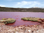 Tour 2 días: Historia y Altiplano